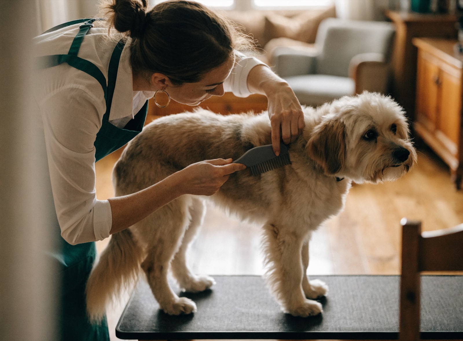Una toelettatrice si prende cura del pelo di un cane sul tavolo da lavoro